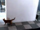 驚かすつもりが驚かされたにゃん　まるでコントなネコたち