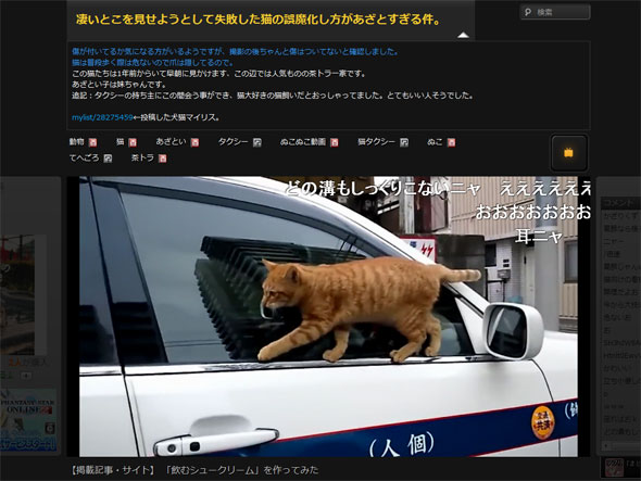 ネコのごまかし方があざとい件 踏み外して落下→てへごろ | ねとらぼ
