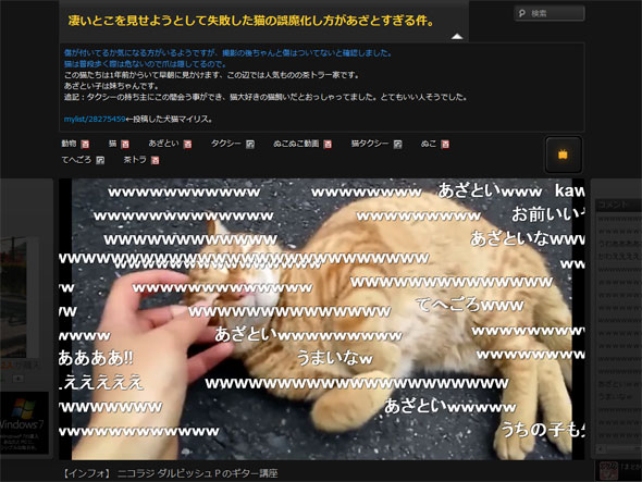 失敗される猫 mqdefault.jpg