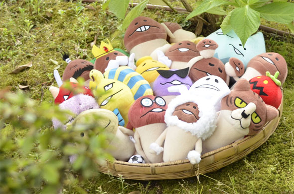 おさわり探偵 なめこ栽培キット：あのなめこが座椅子に レアなめこが