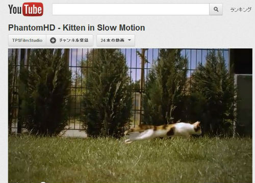 サバンナを掛けるライオンのようでもあり