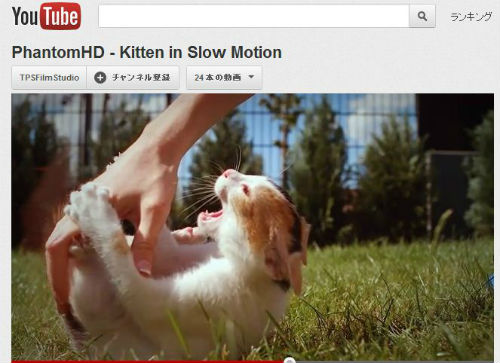 牙をむいているようでもあり