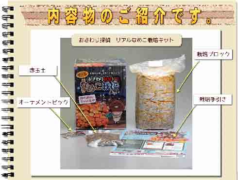 日々是遊戯：リアルでも「なめこ栽培」が楽しめる 「おさわり