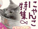 俺の猫フォルダが火を噴くぜ！　ニコニコで「猫の日」企画、動画やイラスト募集