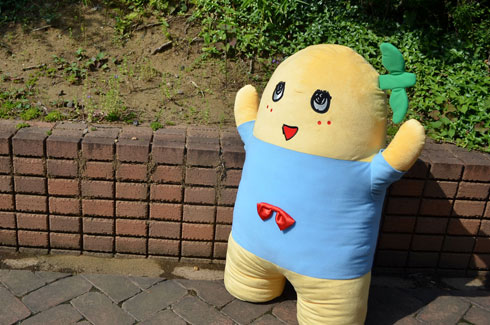 高さ90センチの「ふなっしー」特大ぬいぐるみ発売 雑でゆるい顔