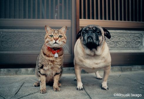 画像