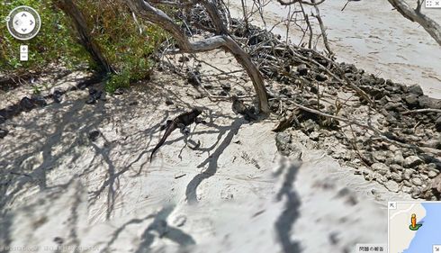 ガラパゴス諸島