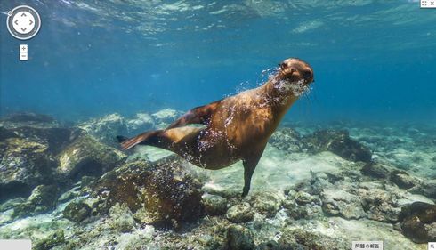 ガラパゴス諸島