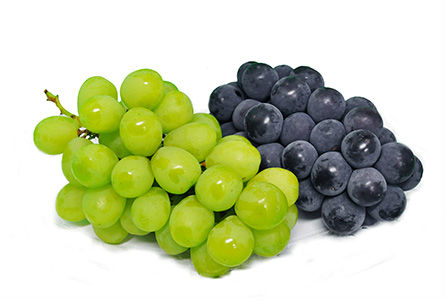 ブドウ