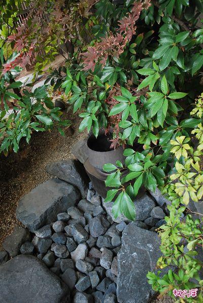 サイバーな茶室