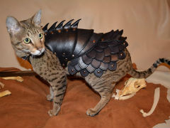ストラップ　モンハン　アイルー　猫武者鎧　ッポン！ F23_20090402103657524-480x384.jpg
