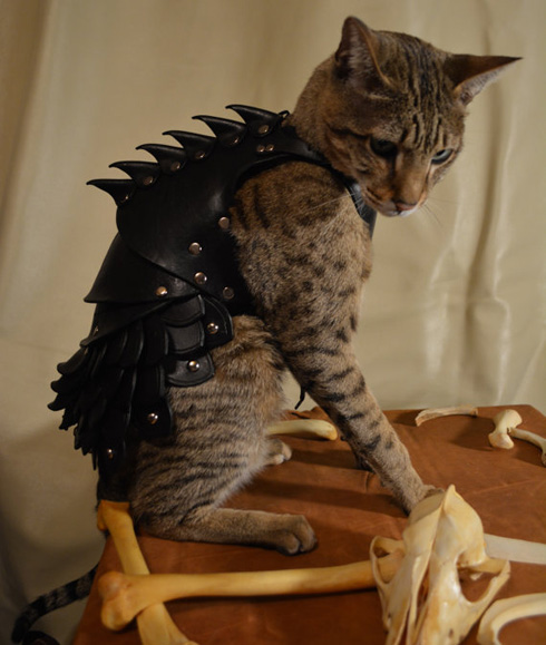 ストラップ　モンハン　アイルー　猫武者鎧　ッポン！ 61wccUO9uQL._UF350,350_QL50_.jpg