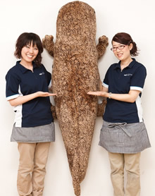 オオサンショウウオ