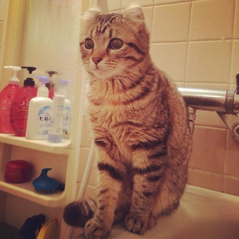 ドヤァ……！（画像提供：せきやゆりえさん）