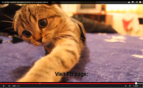 画像（3、2、1……　発射ーーー！！）