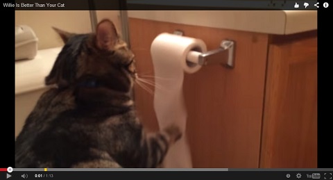 画像（トイレットペーパーをコロコロ）