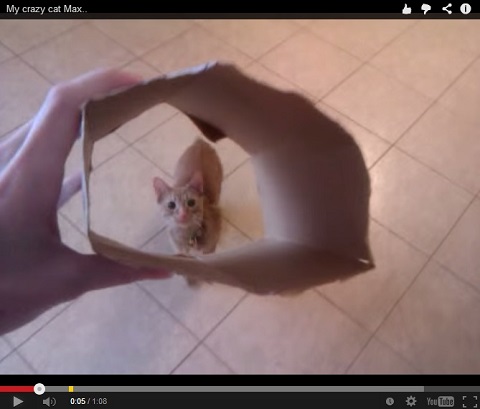 画像（筒から覗いていると……）