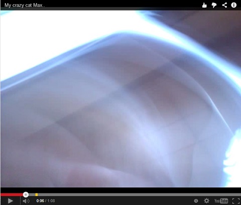 画像（「Uwaaaaaaaaaaaaaaaaaaaaaaaa!!」）