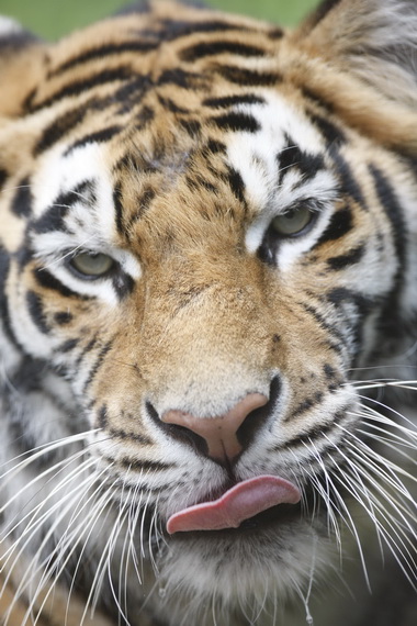 那須サファリパーク