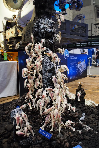 ニコニコ超会議3