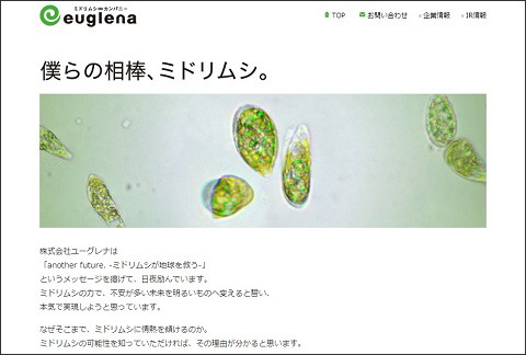 画像（ミドリムシ）