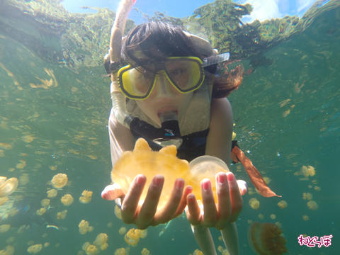 画像（ジェリーフィッシュレイク4）