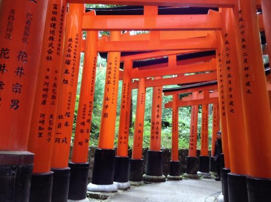 トリップアドバイザー