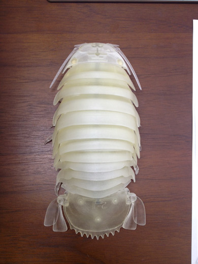 うわぁぁリアルすぎる！！！！ ダイオウグソクムシの可動式