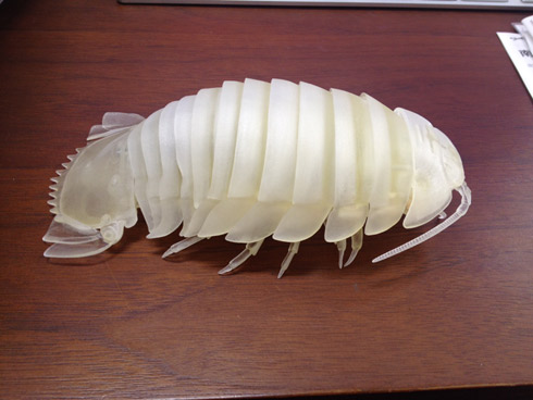 うわぁぁリアルすぎる！！！！ ダイオウグソクムシの可動式