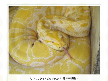 羽村市動物公園