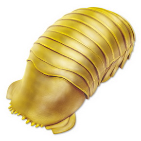 ダイオウグソクムシ