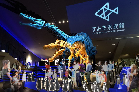 きょうりゅうすいぞくかん