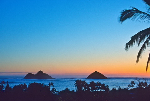 トリップアドバイザー