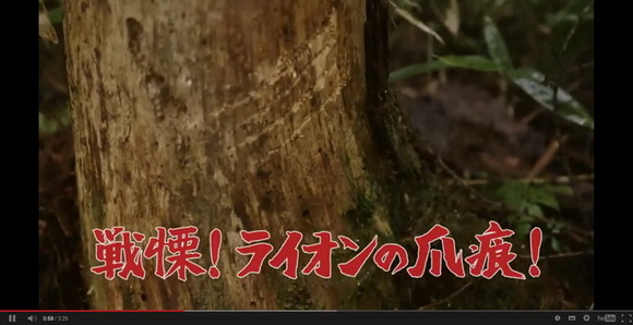 ジャングルクルーズ