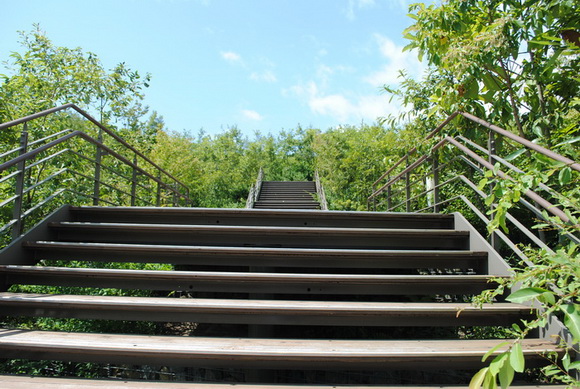 モリゾーキッコロ