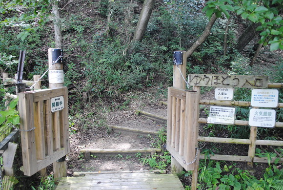 モリゾーキッコロ