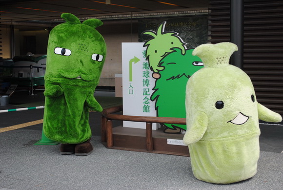 モリゾーキッコロ