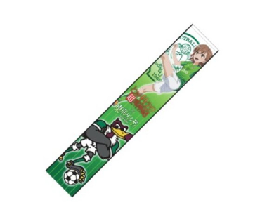 東京ヴェルディ × とある科学の超電磁砲　パンフレット 東京ヴェルディ × とある科学の超電磁砲 パンフレット