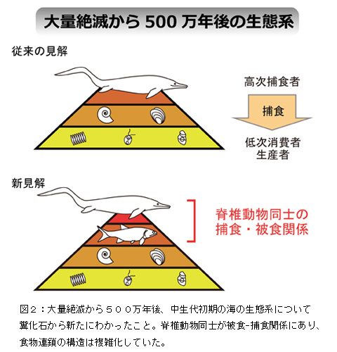 日本最古の糞化石