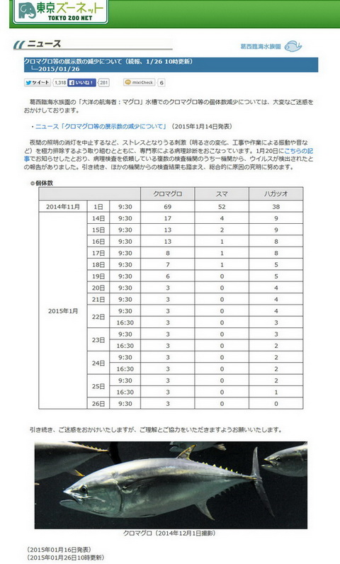葛西臨海