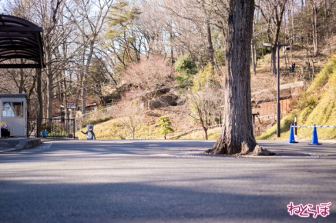 動物脱出対策訓練