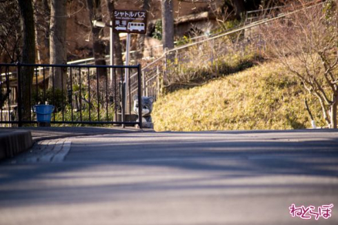 動物脱出対策訓練