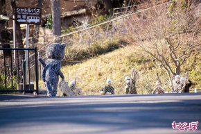 動物脱出対策訓練