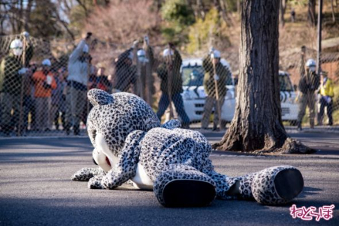 動物脱出対策訓練