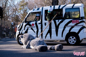 動物脱出対策訓練