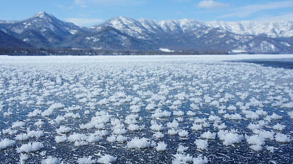 フロストフラワー