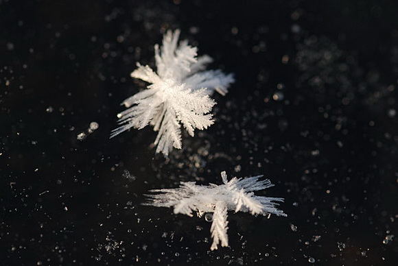 フロストフラワー