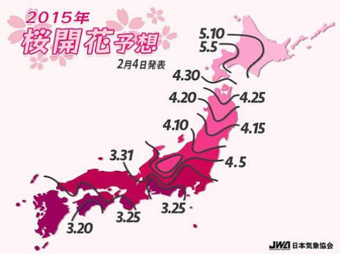 2015年桜開花予想