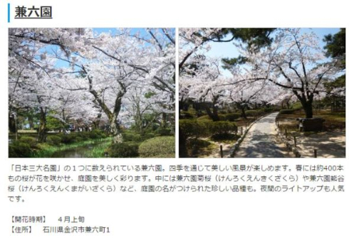 2015年桜開花予想