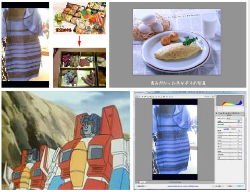 何色に見える？